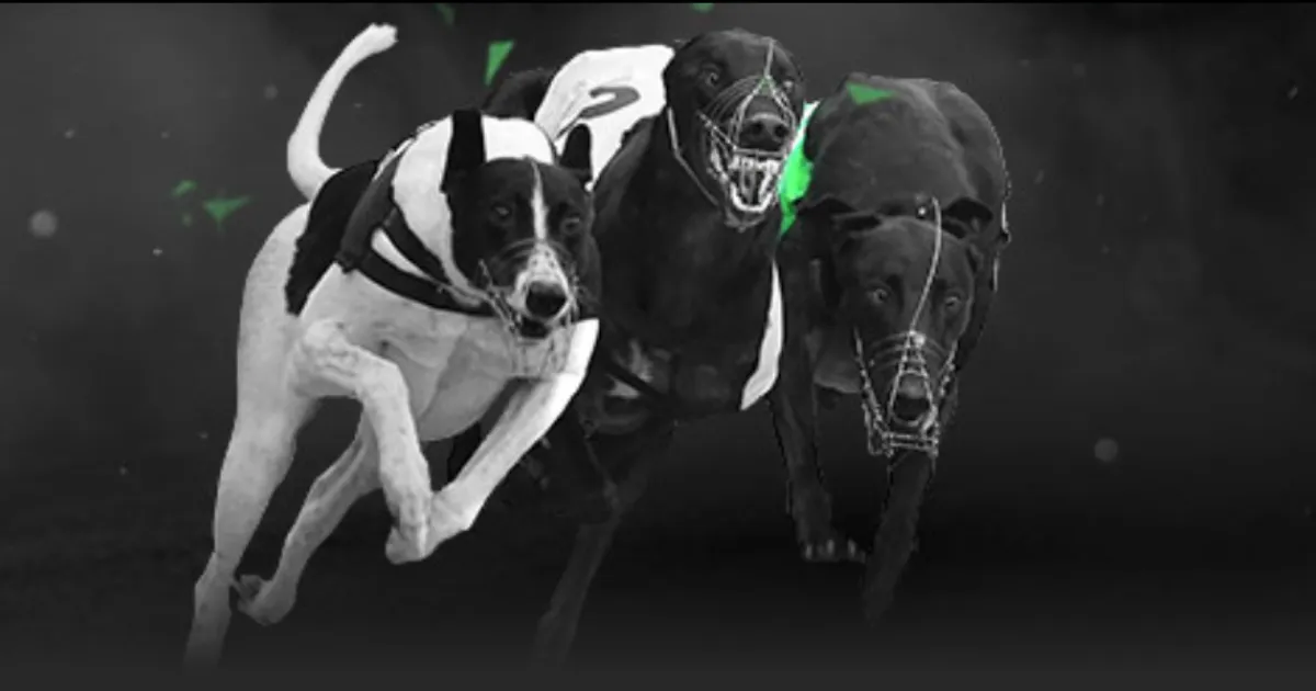 绝地反击,王楚钦,梁靖崑逆势,太阳城,太阳城娱乐,太阳城app,太阳城赌场