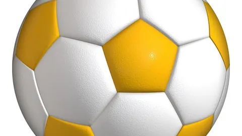 小孔塞桑：胜利时刻激动人心，赛事关键球迷同庆！