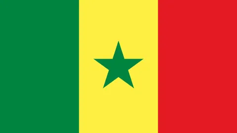 大乐透期号专家推荐：质合分析前区十码胜率提升