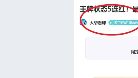 奧運女足準決賽：美國VS德國，羅德曼、霍蘭、格溫帶隊激戰
